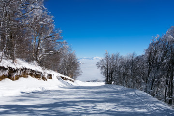 Fototapeta premium Amazing landscape in Vigla, Florina's ski center, Greece 