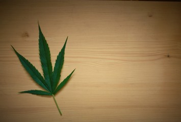 Marijuana leaf on wooden surface with vignette and background for text