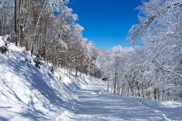 Amazing landscape in Vigla, Florina's ski center, Greece 