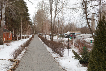 The road in the winter park