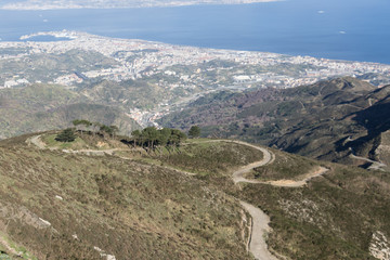 Fototapeta premium Mountain road among trees