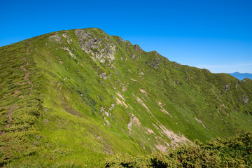 The ridge covered with green grass against the blue sky