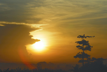 Tree silhouette and a yellow golden sun that is setting behind it almost covered by a cloud, Cipularang Melrimba.