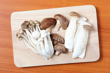mushrooms