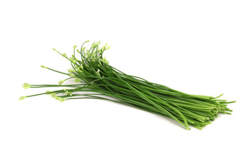 Chives flower or Chinese Chive isolated on white background