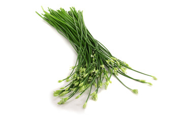 Chives flower or Chinese Chive isolated on white background