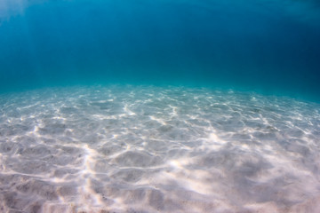 Sunbeams light up a shallow, sandy seabed