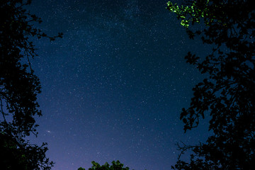 Fototapeta na wymiar Blue dark night sky with many stars above field of trees.