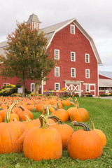 Pumkins & Barn