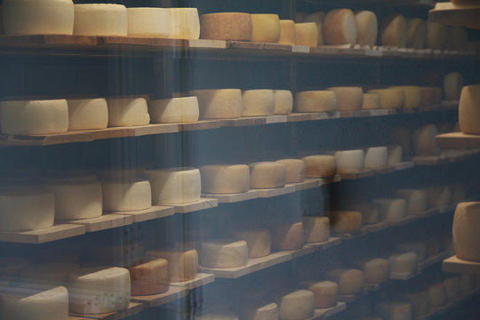 Cheese on shelves in the dairy room with temperature control of the glass