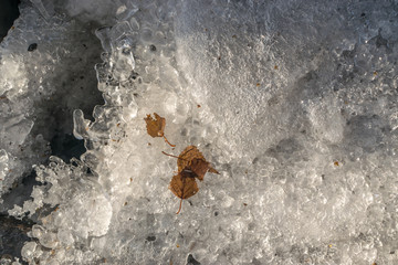 Fototapeta premium Grey Melted Ice on the Ground in Early Spring