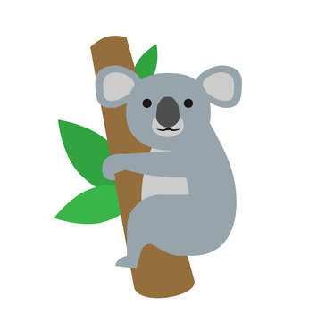 cute cartoon koala bear on the tree