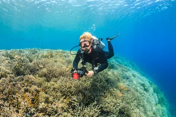 Fototapeten SCUBA diver on a pristine tropical hard coral reef © whitcomberd