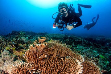 SCUBA Diver swimming over a healthy, tropical coral reef