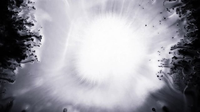 Beautiful white watercolor ink drops transition on black background, paint bleed Bloom, with circle organic flow expanding, pure splatter spreading. Perfect for motion graphics, digital composition