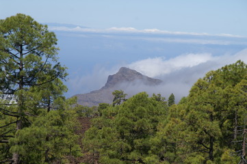 Fototapeta na wymiar Bergspitze in den Wolken