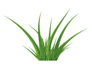Green grass isolated vector symbol icon design.