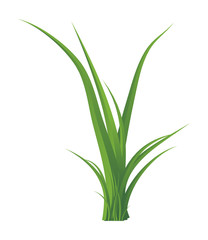Green grass isolated vector symbol icon design.