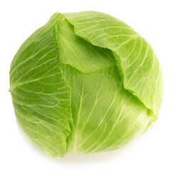 Obraz premium cabbage isolated on white background