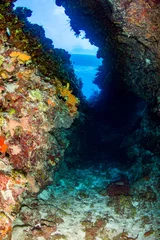 Fototapete A boat above an underwater canyon © whitcomberd