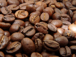 Roasted Coffee Beans