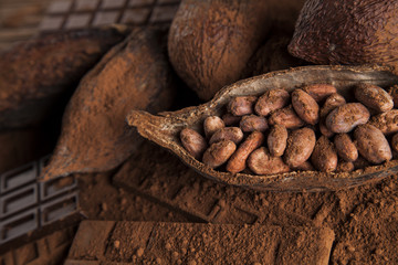 Chocolate sweet, cocoa pod and food dessert background
