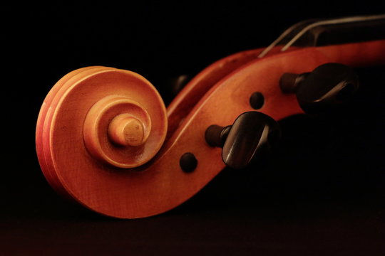 Voluta de viol&iacute;n con fondo negro