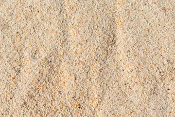 texture of sea sand on a sunny day
