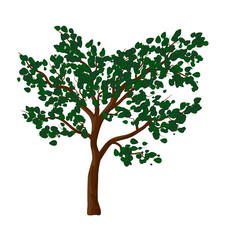 Fototapeta na wymiar Green tree isolated vector symbol icon design.