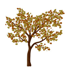 Autumn tree isolated vector symbol icon design.