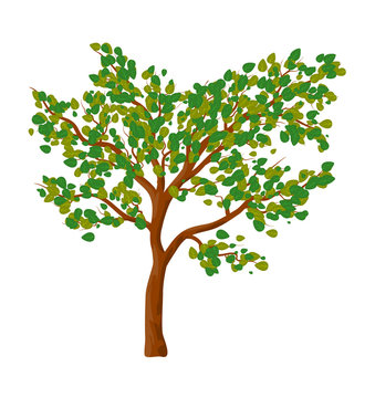 Green tree isolated vector symbol icon design.