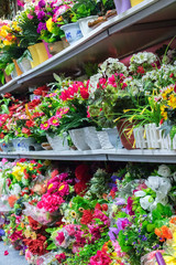 Fototapeta na wymiar Colorful decoration artificial flower on store shelves