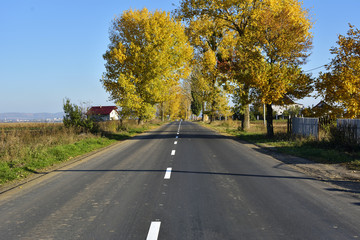 Fototapeta premium Autumn landscape with road and beautiful colored trees