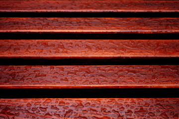 raindrops on a wooden bench