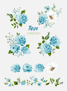 Beautiful isolated blue flowers on the white background. Set of different floral design elements-Blue rose, chamomile, leaf, branch. All elements are isolated and editable.