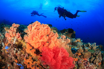 Fototapeta premium Beautiful soft corals and SCUBA divers on a tropical reef
