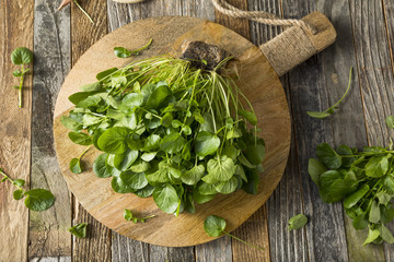 Raw Green Organic Living Water Cress