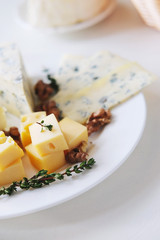 Cheese plate with different kinds of cheese