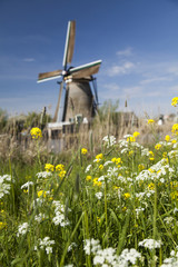 Old windmill, Kinderdijk in netherlands