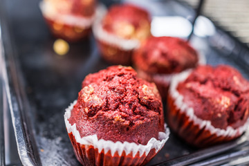 Red velvet muffins in liners on display
