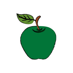 Apple delicious fruit icon vector illustration graphic design