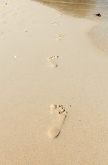 Fototapeta na wymiar Footprints on a beach