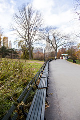 Benches on Central Park Path