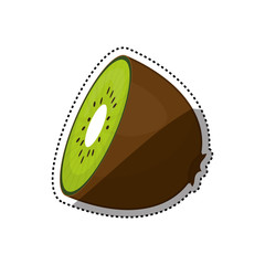 kiwi delicious fruit icon vector illustration graphic design
