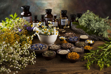 Healing herbs on wooden table, mortar and herbal medicine
