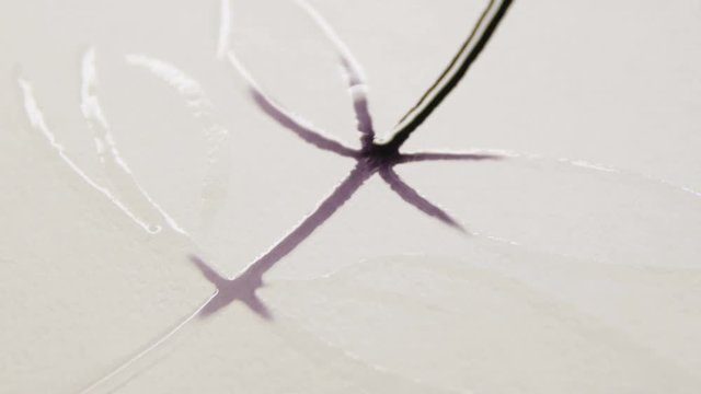 Man Makes Ornament Ofblack Paint