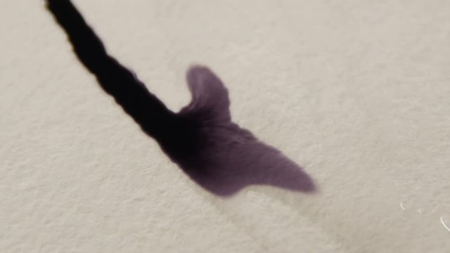 Black Paint Makes  Difficult Patterns on Wet White Surfase