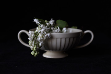 Obraz na płótnie Canvas Lilac in a white vase on a black background