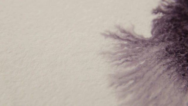 Black Drops Flow on Wet Textured Paper Surfase