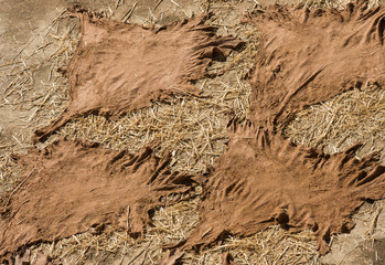 Old leather tannery in moroccan city Fez